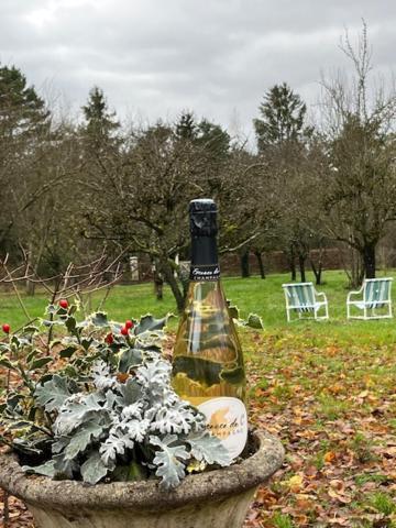 "Aux Chants Des Oiseaux" Domaine De La Renardiere Les Grandes-Loges Extérieur photo