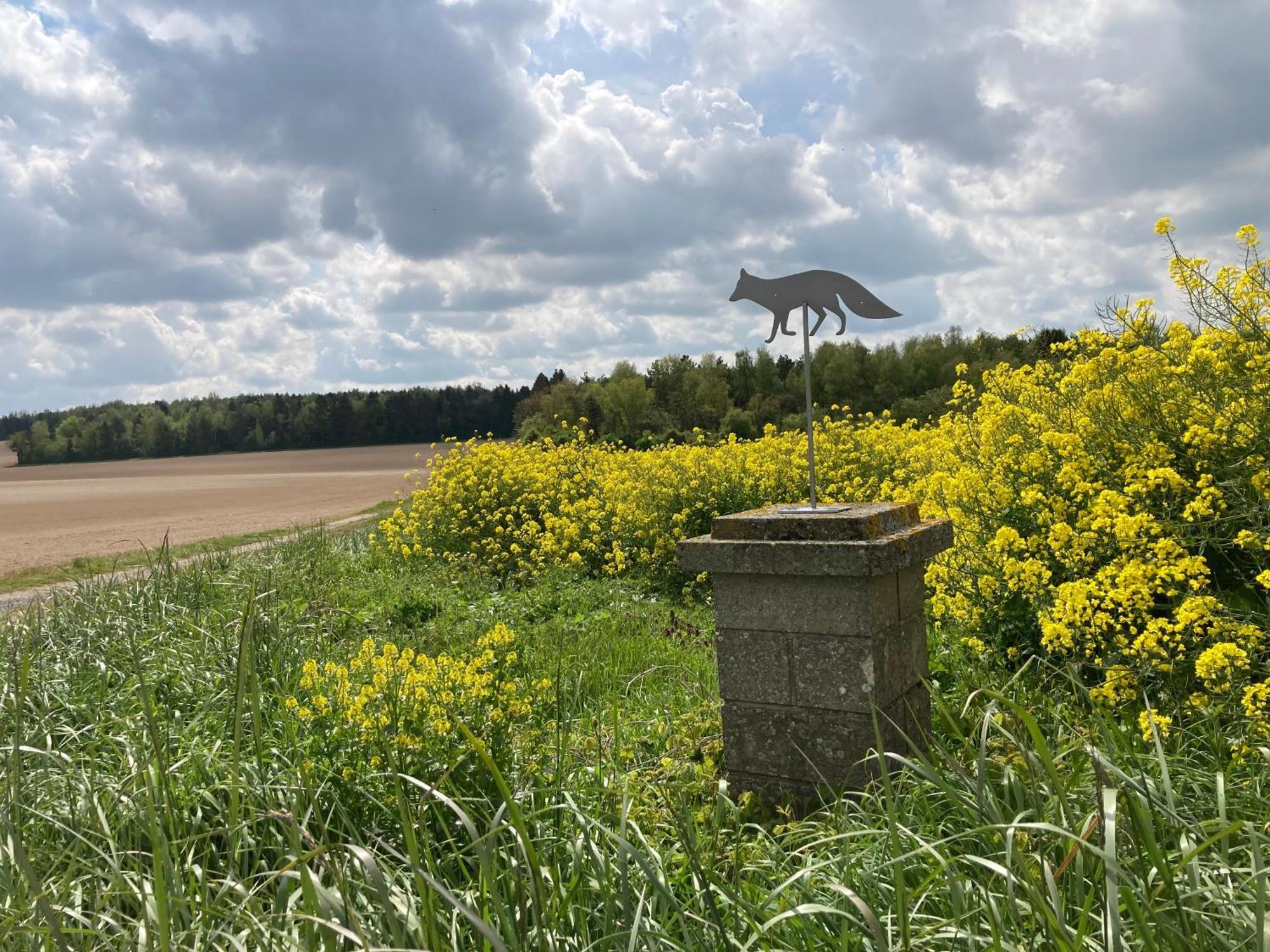 "Aux Chants Des Oiseaux" Domaine De La Renardiere Les Grandes-Loges Extérieur photo