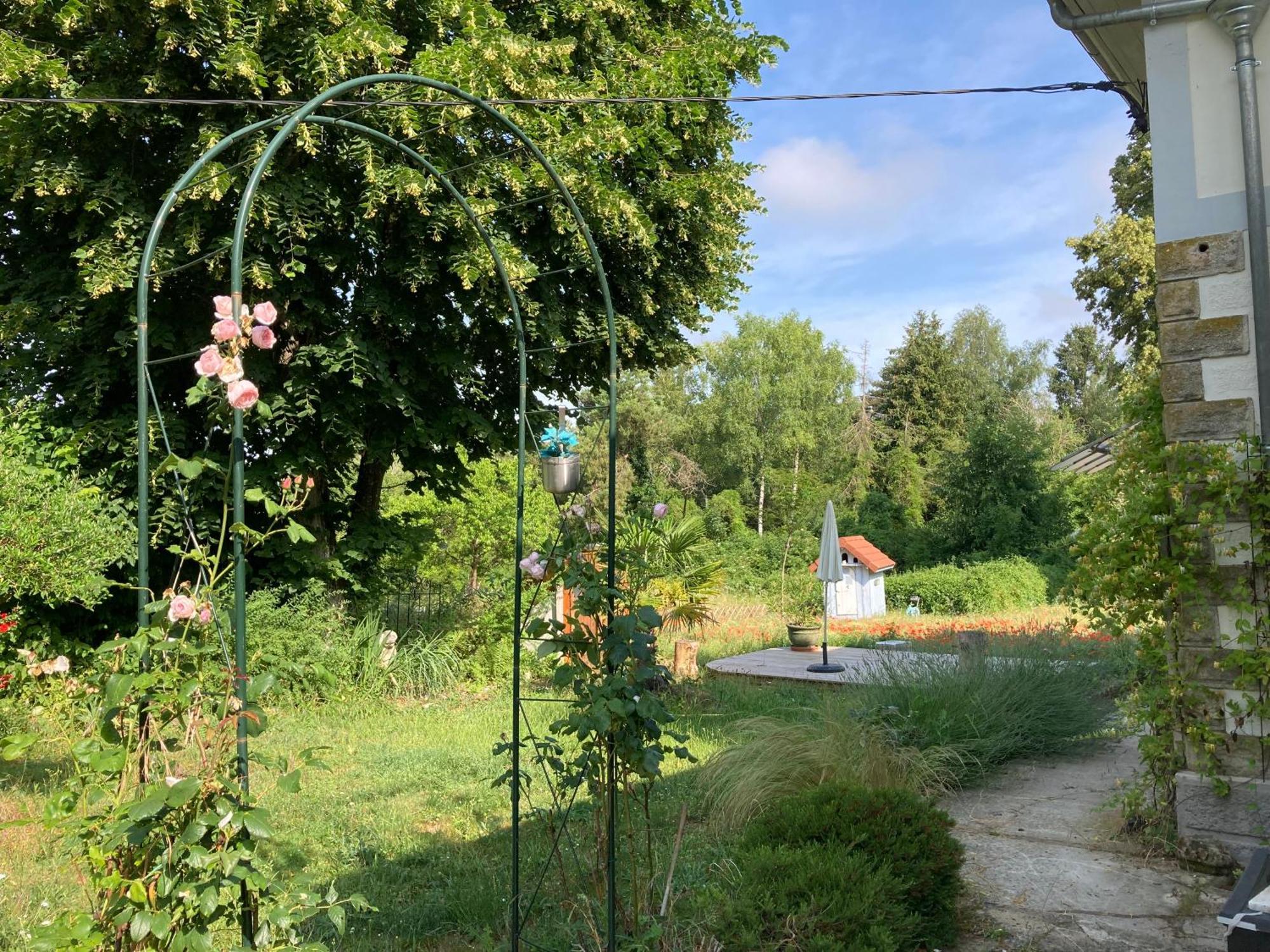 "Aux Chants Des Oiseaux" Domaine De La Renardiere Les Grandes-Loges Extérieur photo